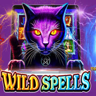 Wild Spells logo