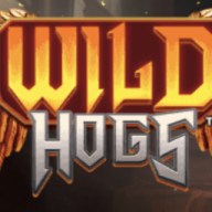 Wild Hogs logo