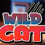 Wild Cat logo