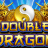 Double Dragon logo