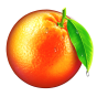 Orange obrázek