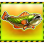 Fish obrázek