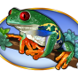 Frog obrázek