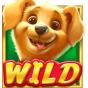 Wild obrázek