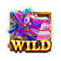 Wild obrázek