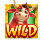Wild obrázek