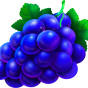 Grape obrázek