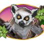 Lemur obrázek
