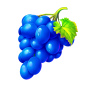 Grapes obrázek