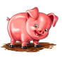 Pig obrázek