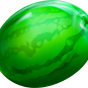 Watermelon obrázek