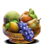 Fruits obrázek