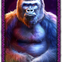 Gorilla obrázek