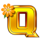 Q obrázek