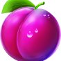 Plum obrázek