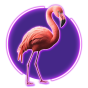 Flamingo obrázek