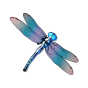 Dragonfly obrázek