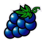 Grape obrázek