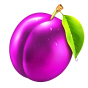 Plum obrázek