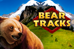 logo bear tracks novomatic hry automaty