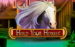logo hold your horses novomatic hry automaty 