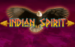 logo indian spirit novomatic hry automaty 