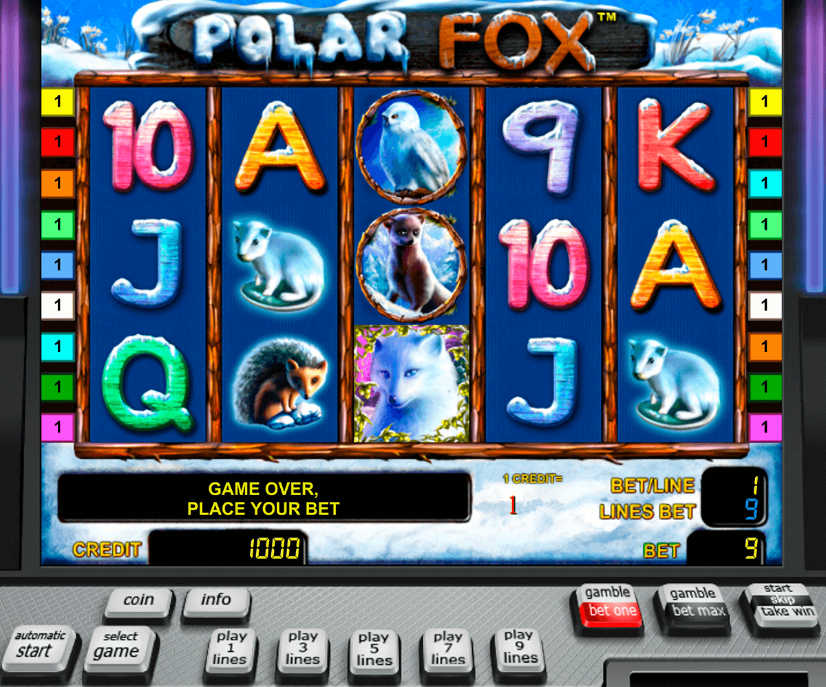 polar fox novomatic automaty zdarma 